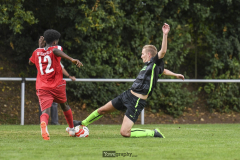 200815_Yowe_Jonas_Wenzel_17DSC_0192