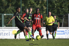 200918_Jonas_Wenzel_Yowe_01