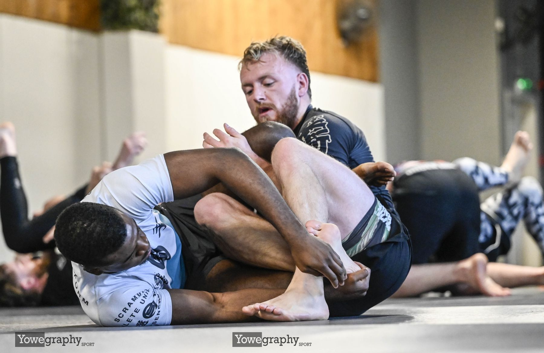 13_YOW4004_Yowe_Jonas_Wenzel