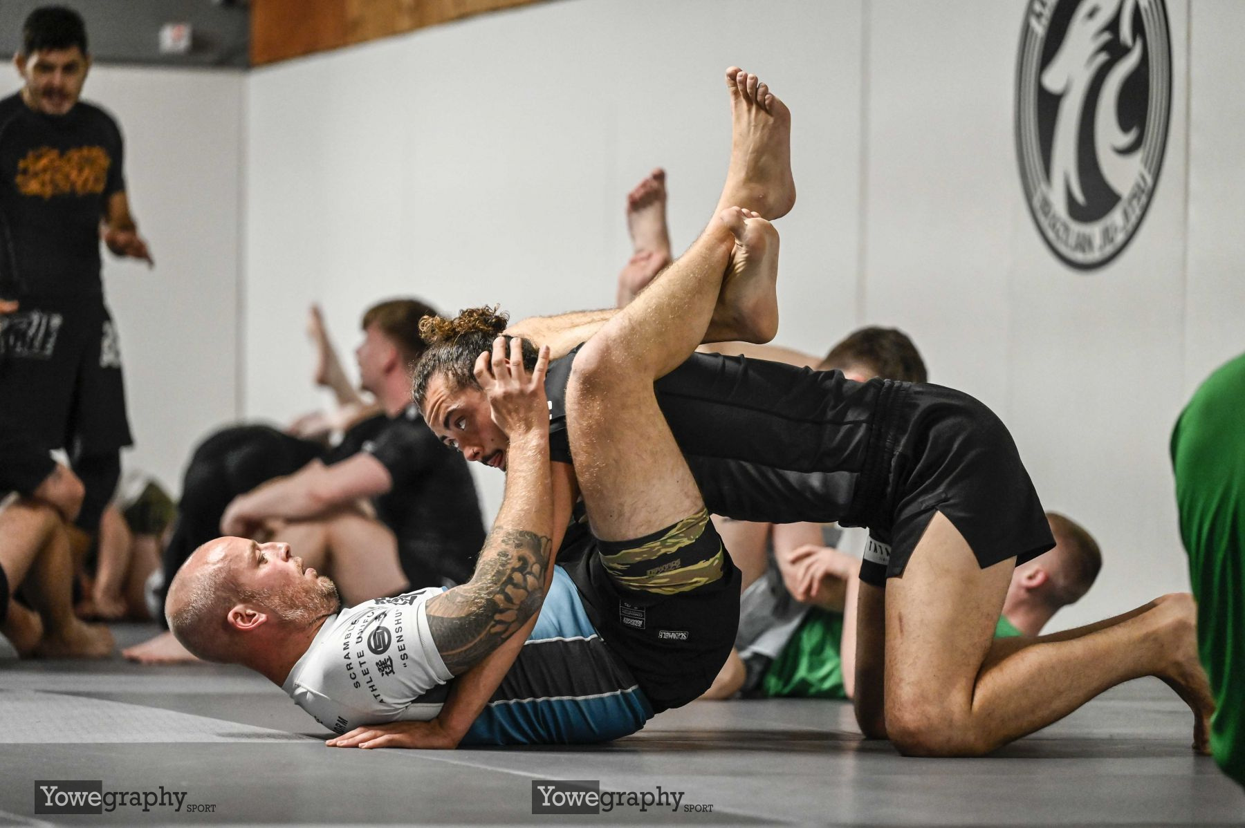 39_YOW4313_Yowe_Jonas_Wenzel