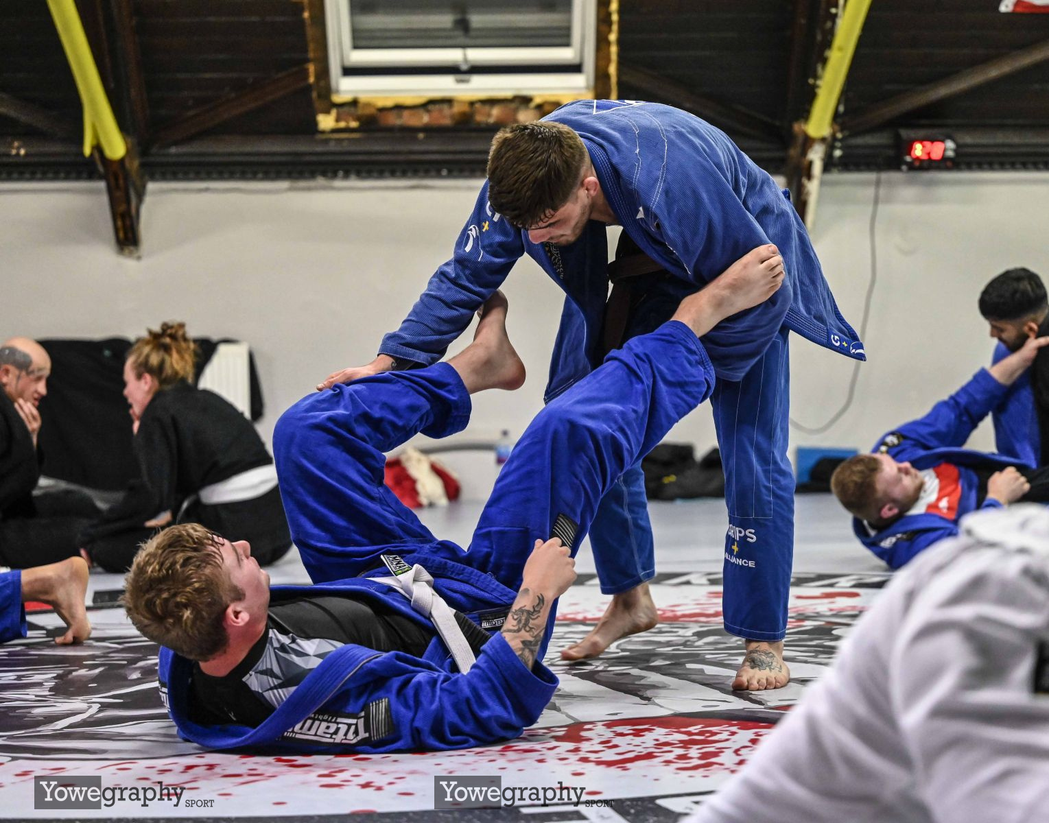 36_YOW3682_Yowe_Jonas_Wenzel