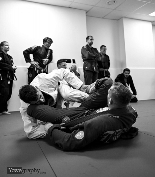 83_Yowegraphy_Jonas_Wenzel_241102_YZ94040_SW