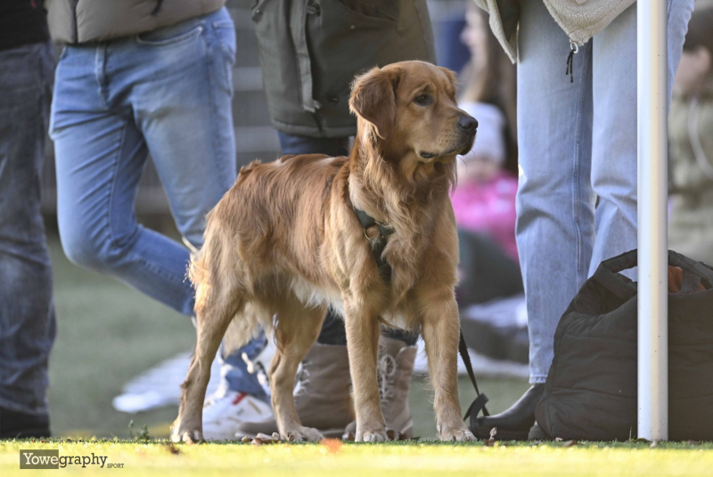 06_Yowegraphy_Jonas_Wenzel_241109_YZ96387