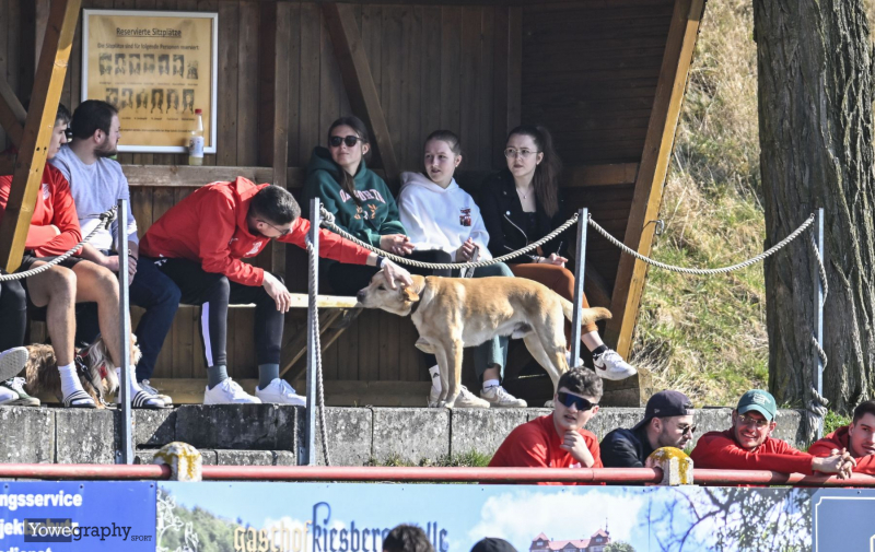 50_Yowegraphy_Jonas_Wenzel_250309_YZ91887