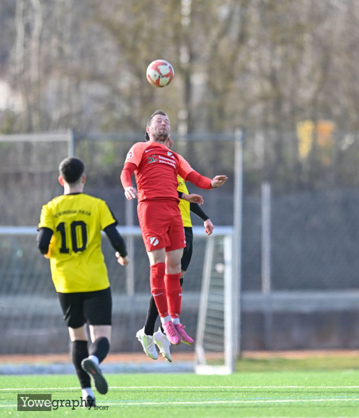 SC Borussia Fulda - SG Sickels: Angel Natsev