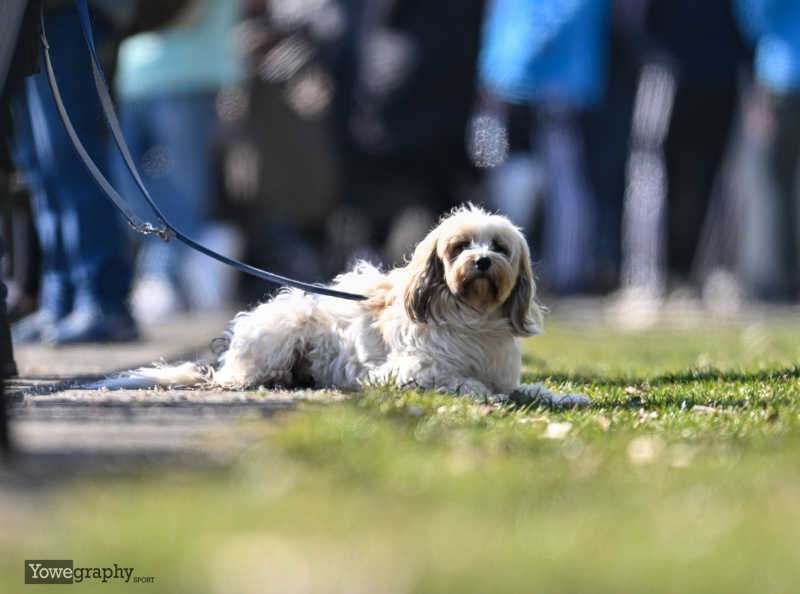 56_Yowegraphy_Jonas_Wenzel_250316_YZ96303