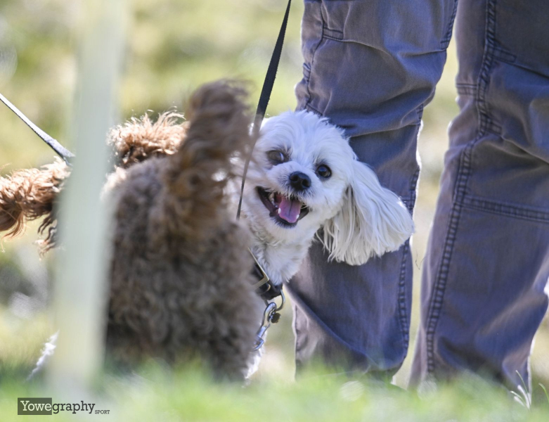 46_Yowegraphy_Jonas_Wenzel_250406_YZ92276