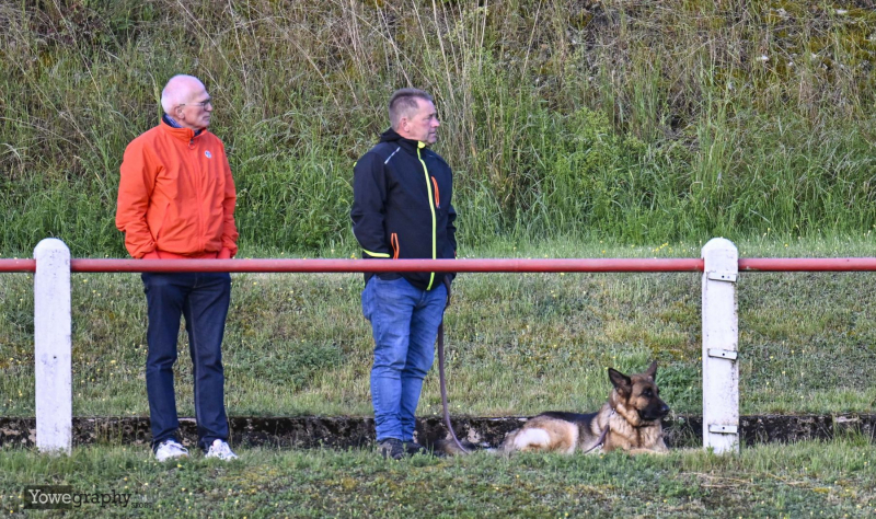 SV Hofbieber - TSG Bebra: Zuschauer