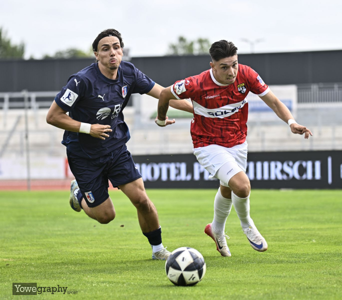 SG Barockstadt - TSG Balingen: Pedro Almeida Morais gegen Nick Berger