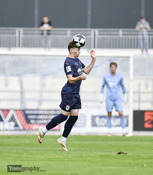 SG Barockstadt - TSG Balingen: Arlind Iljazi