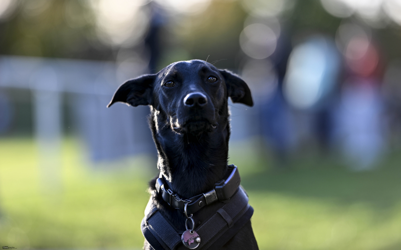 TSV Künzell - ESV Hönebach: Mia Parzeller