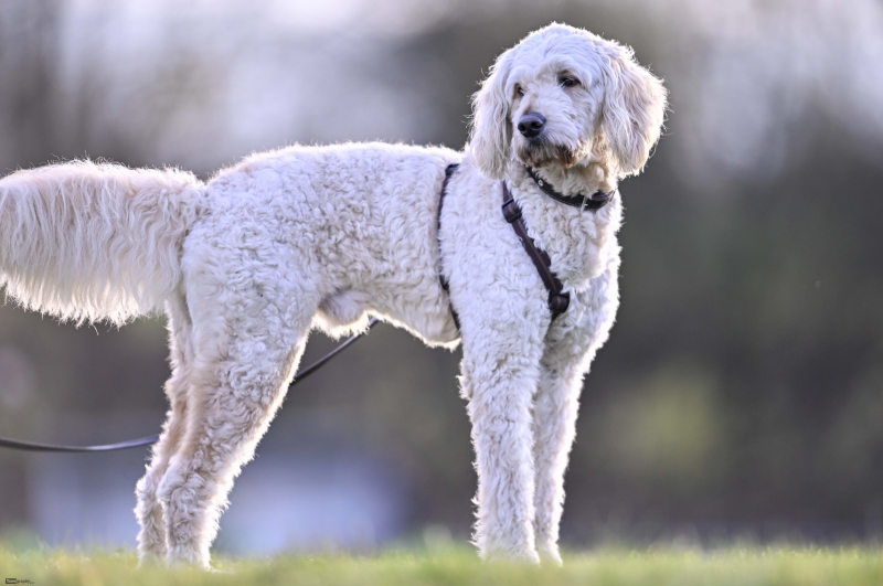 59_Yowegraphy_Jonas_Wenzel_251116_YZ96156