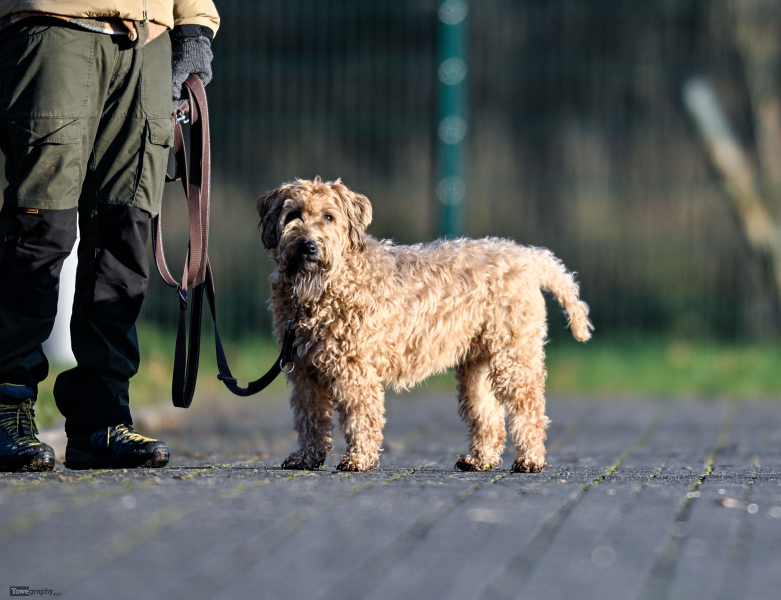 55_Yowegraphy_Jonas_Wenzel_251123_YZ99583