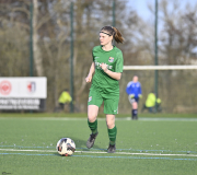 Damen SG Barockstadt - Damen TSG Lütter: