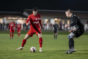 SV Schweben - SG Distelrasen: Carsten Stey