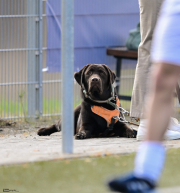 45_Yowegraphy_Jonas_Wenzel_260321_YZ99402