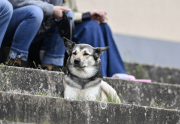 46_Yowegraphy_Jonas_Wenzel_190426_YZ90963