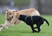 75_Yowegraphy_Jonas_Wenzel_190426_YZ91841