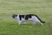 25_Yowegraphy_Jonas_Wenzel_260611_YZ99090