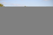 103_Yowegraphy_Jonas_Wenzel_260719_YZ93093
