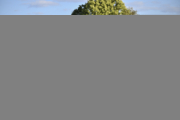 104_Yowegraphy_Jonas_Wenzel_260719_YZ93097