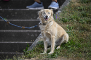17_Yowegraphy_Jonas_Wenzel_260809_YZ91080