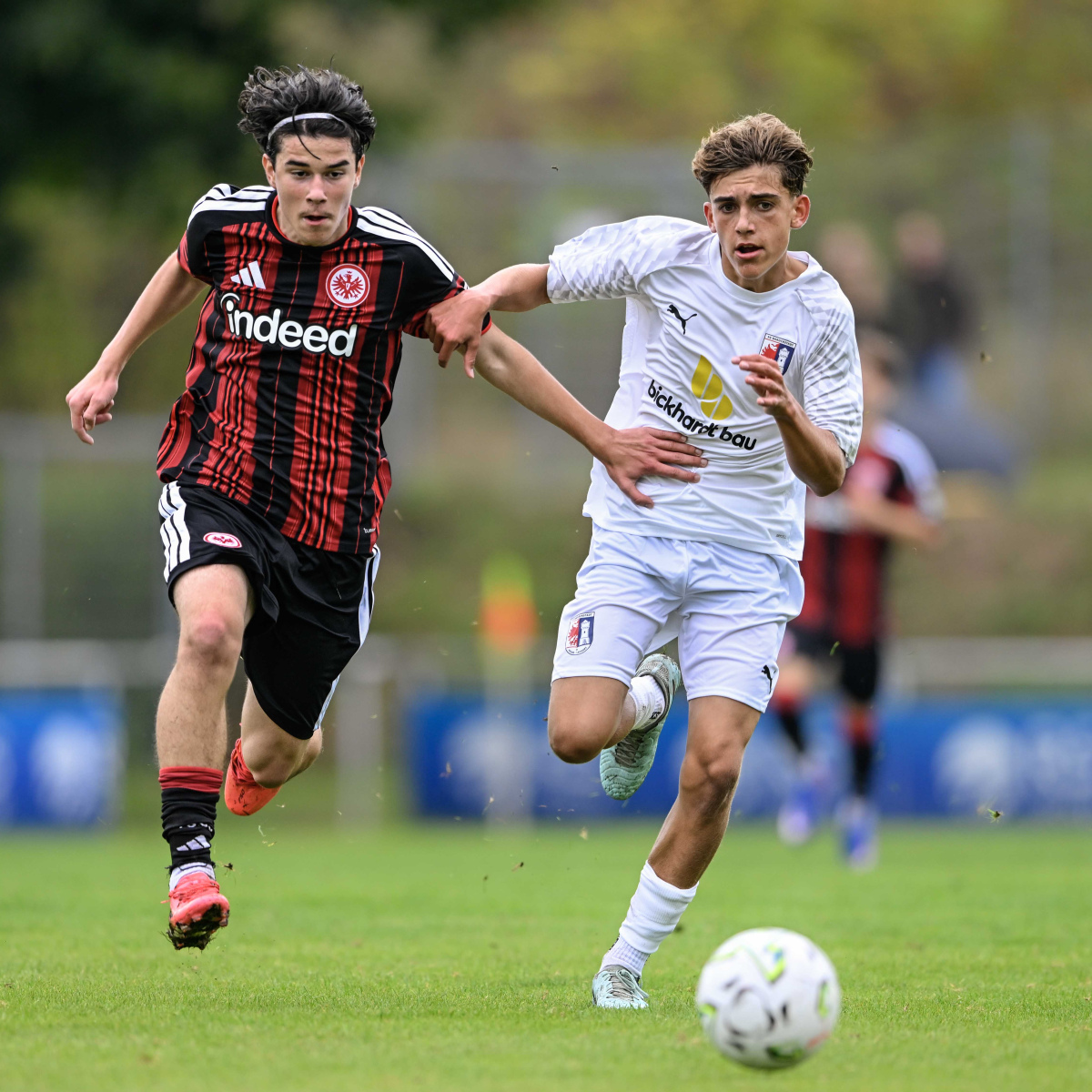 47_Yowegraphy_Jonas_Wenzel_260913_YZ94263