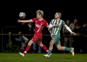 FSV Steinau Steinhaus - RSV Petersberg II: Theo Flügel
