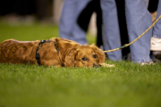 16_Yowegraphy_Jonas_Wenzel_260930_YZ91701