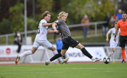 SG Barockstadt - Vfr Aalen:
