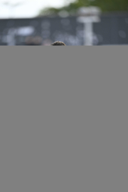 84_Yowegraphy_Jonas_Wenzel_261010_YZ91640-X670E